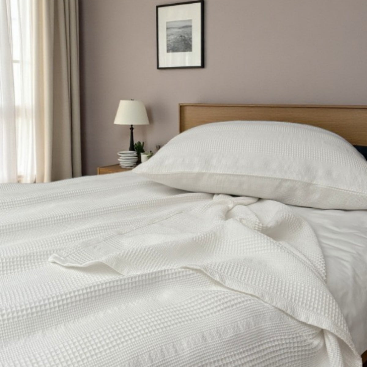 SoftNature Series Single 100% Cotton Bordered Breathable Pique Set | Lightweight, Non-Sweaty, and Stylish (160x230)